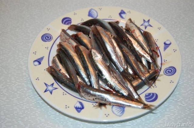 Come Pulire Le Alici Misya Info