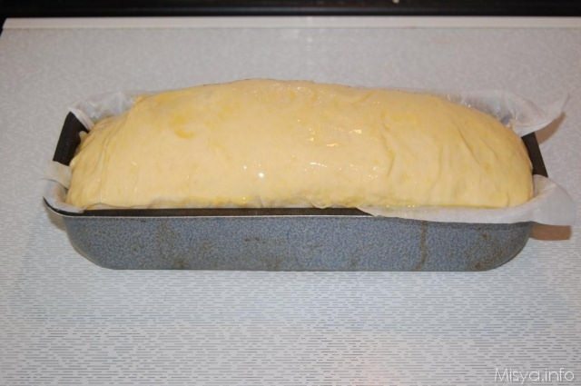 panbrioche-lievitato
