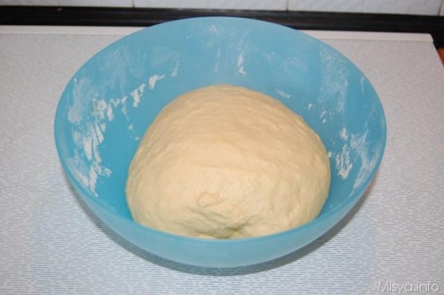 panetto-panbrioche-lievitato