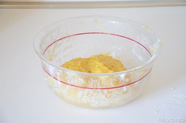 prima della lievitazione