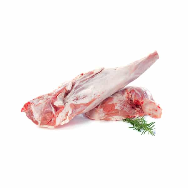 Agnello