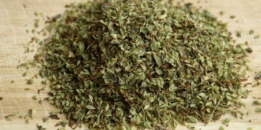 Origano