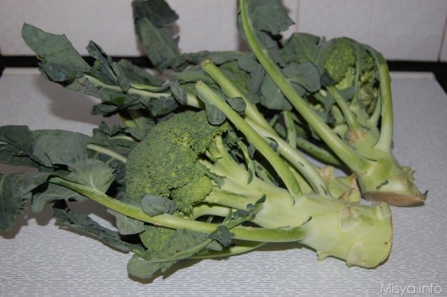 broccoli baresi