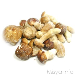 Funghi porcini