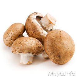 Funghi