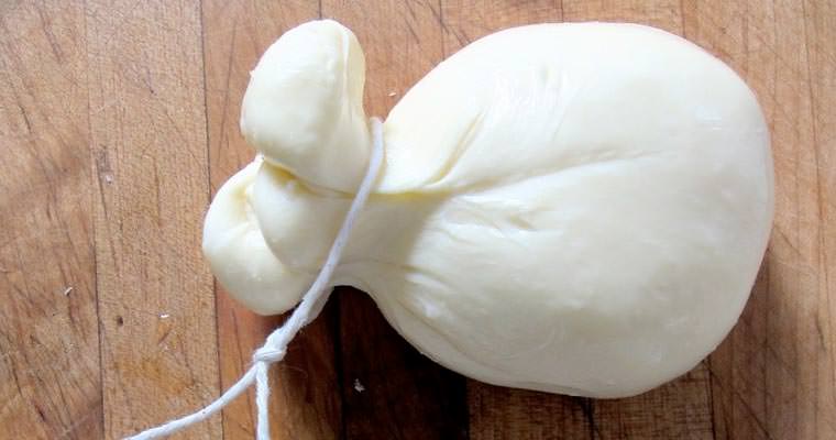 Provolone