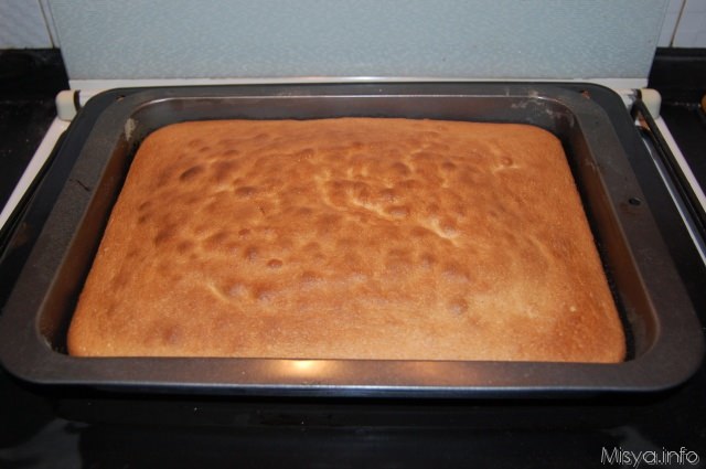 pan di spagna rettangolare