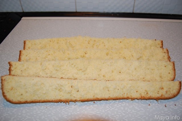 rettangoli di pan di spagna