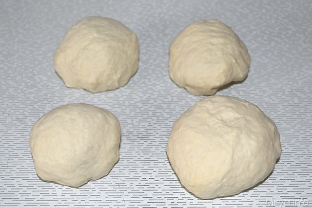 far lievitare l'impasto e poi dividerlo in 4 parti