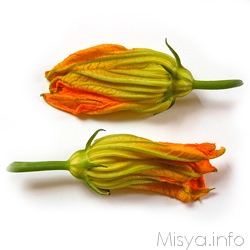Fiori di zucca