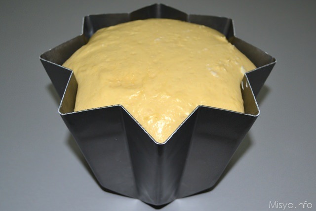 12 pandoro cresciuto