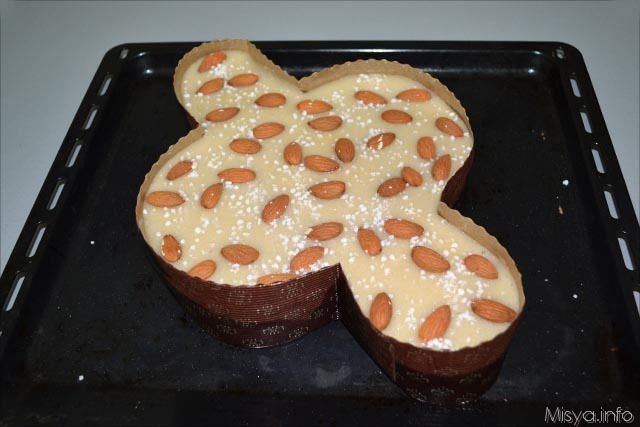 colomba di pasqua con lievito madre 28