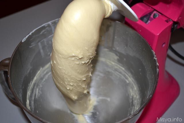 colomba di pasqua con lievito madre 9