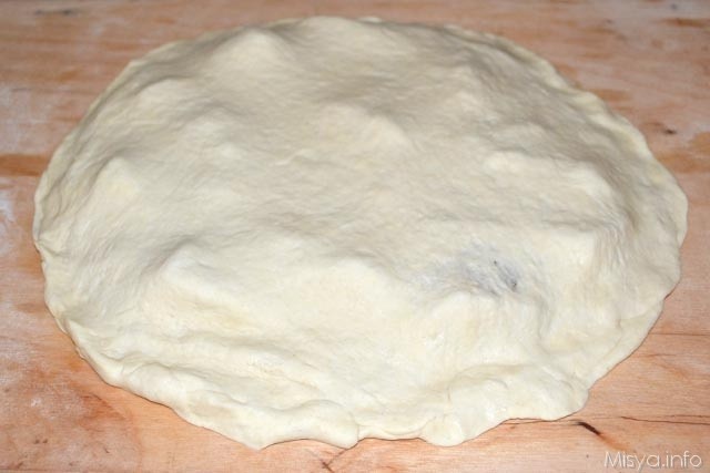 Focaccia in padella 9