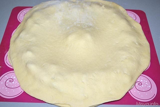 Girasole di brioche 10