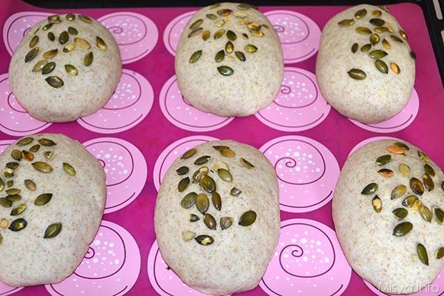 Panini semintegrali 10