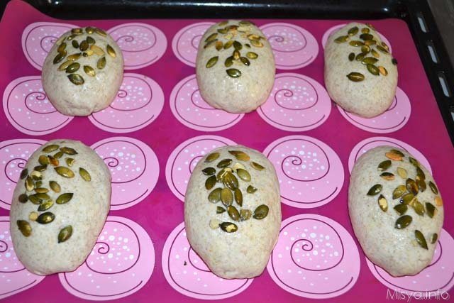 Panini semintegrali 9