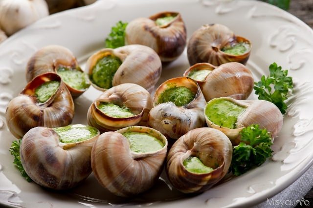 snails