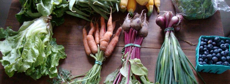 Come conservare le verdure