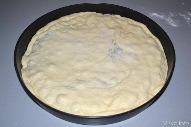 Schiacciata all uva 10