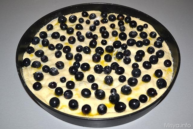 Schiacciata all uva 11