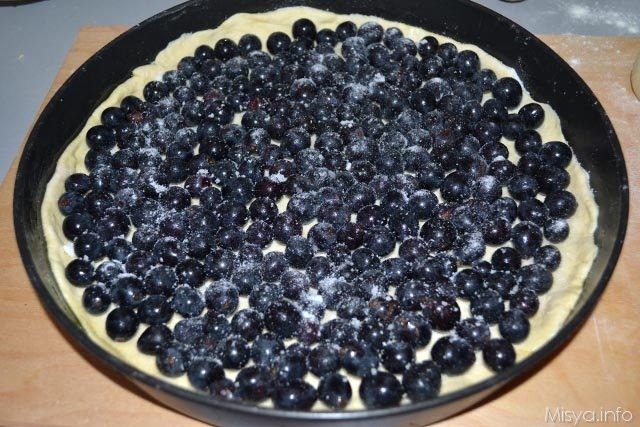 Schiacciata all uva 9