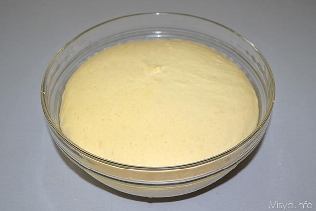 Panini per hot dog 11