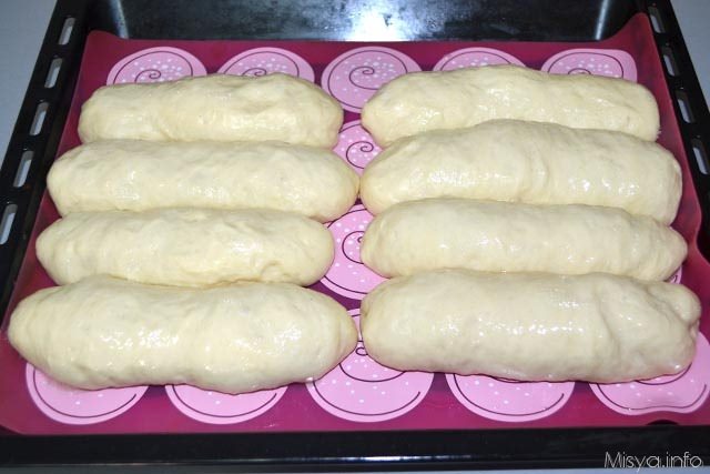 Panini per hot dog 24