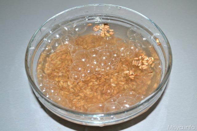 Zuppa di farro con patate e carote 4