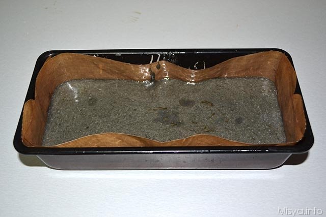 Carbone della befana 13