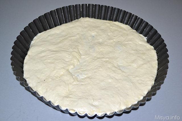 Focaccia con esubero di pasta madre 8