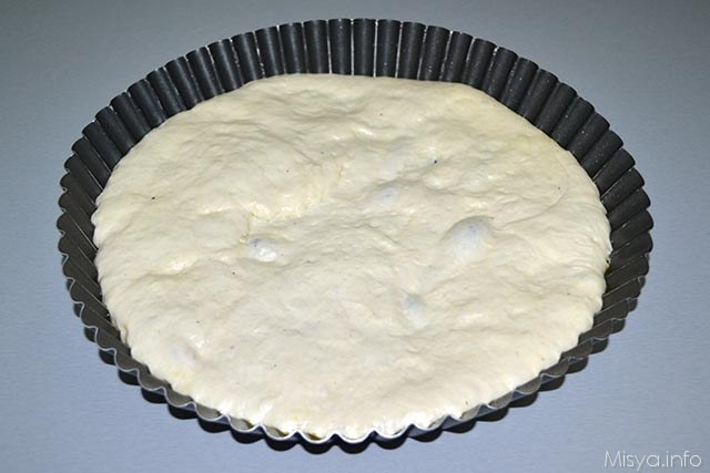 Focaccia con esubero di pasta madre 9