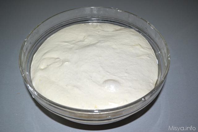 pane con esubero di pasta madre 10