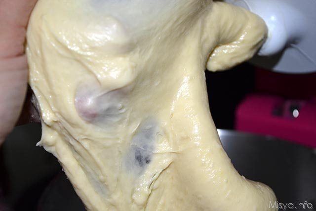 panettone con il lievito madre 13