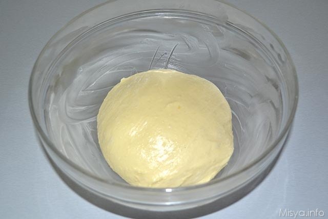 panettone con il lievito madre 14