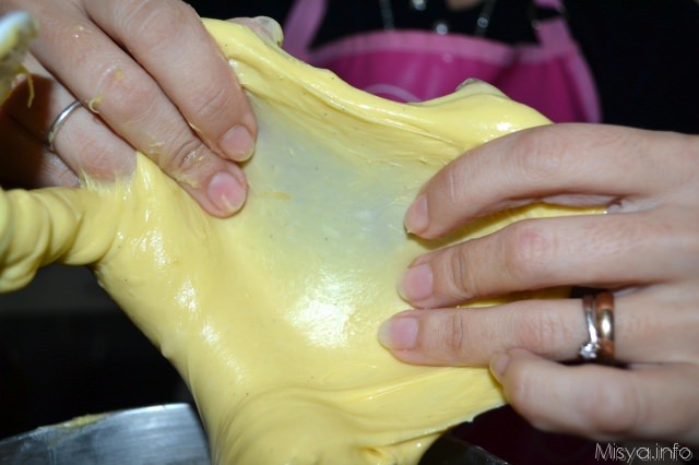 panettone con il lievito madre 31