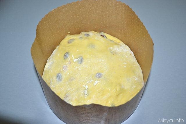 panettone con il lievito madre 37