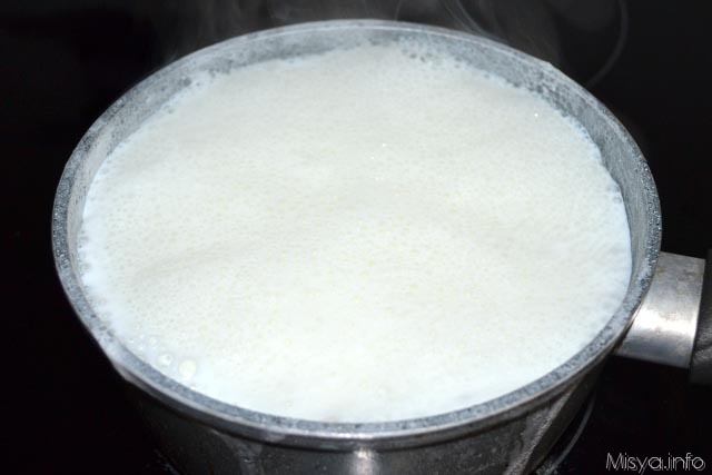 Yogurt fatto in casa 2