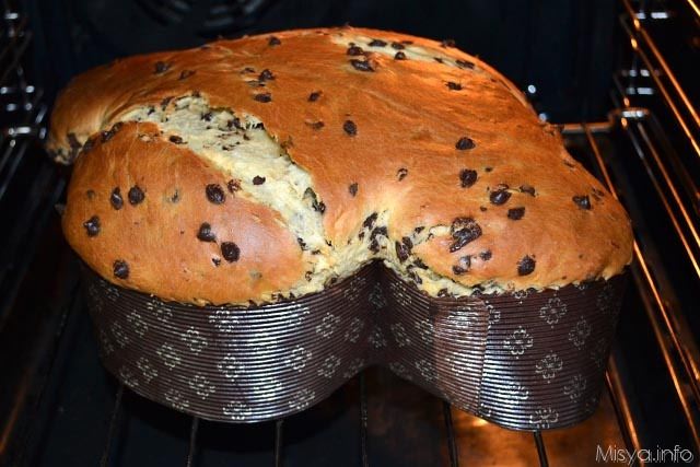 colomba al cioccolato 39