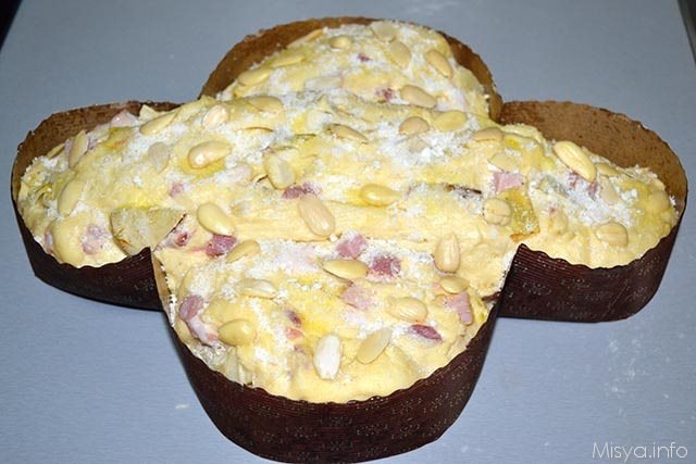 colomba salata 16