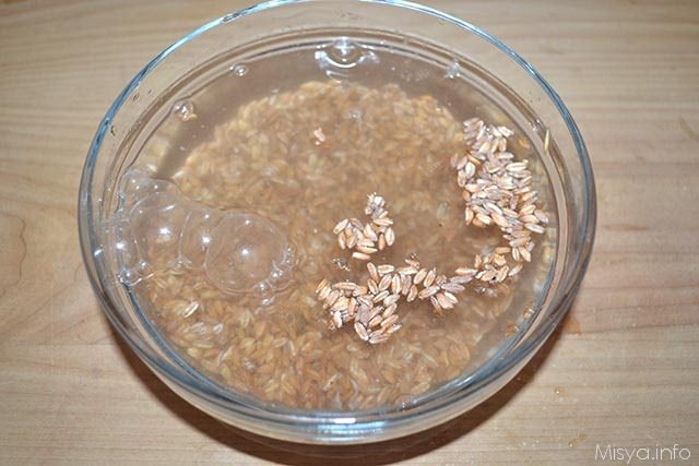 Farro con asparagi e carote 1