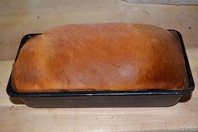 fette biscottate 10