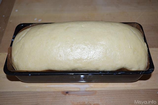 fette biscottate 9