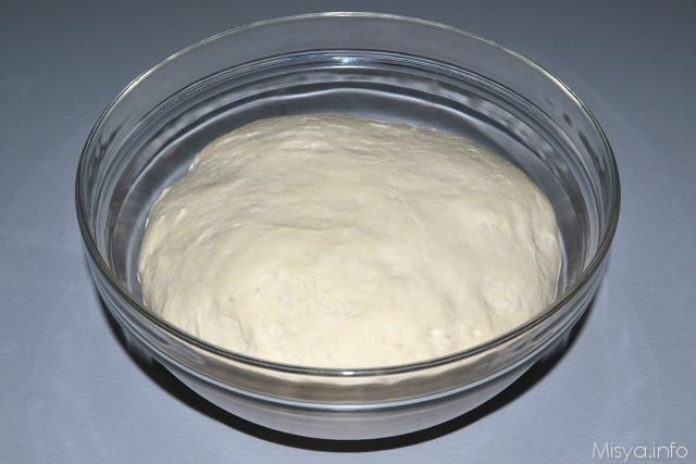 impasto-pizza-su-testo 4