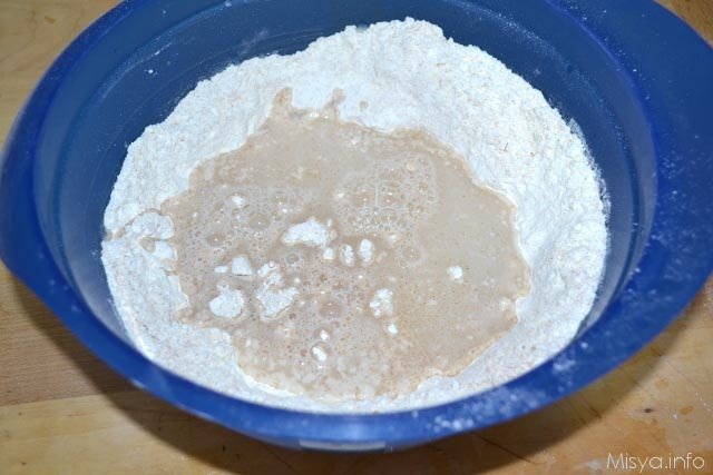 pane veloce integrale 3