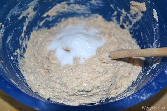 pane veloce integrale 5