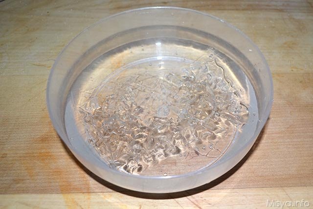 Budino al latte di cocco 1