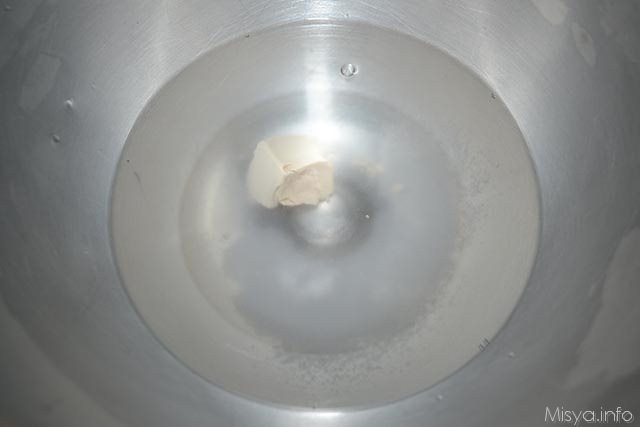 1 lievito nell acqua
