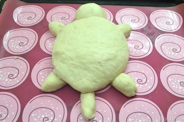 10 formare tartaruga