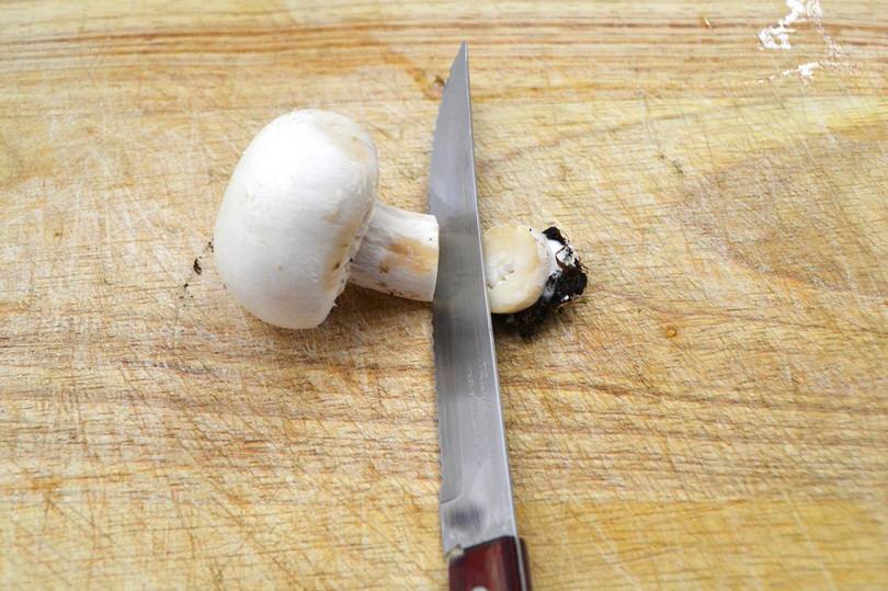 2 tagliare parte terrosa